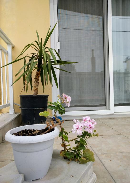 Dimitris Luxury Apartment ケラモティ エクステリア 写真